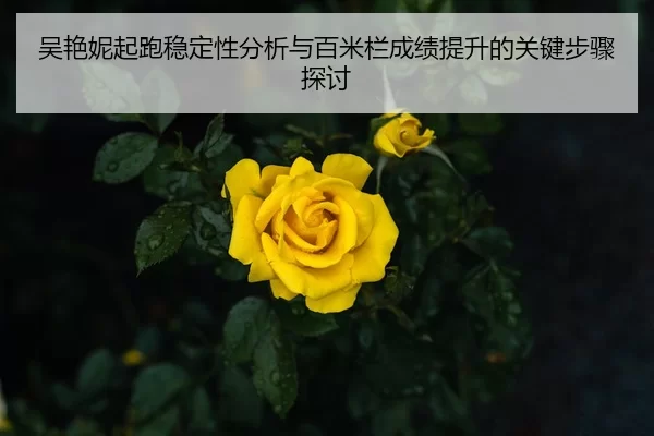吴艳妮起跑稳定性分析与百米栏成绩提升的关键步骤探讨