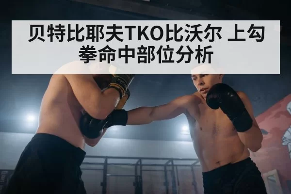 贝特比耶夫TKO比沃尔 上勾拳命中部位分析