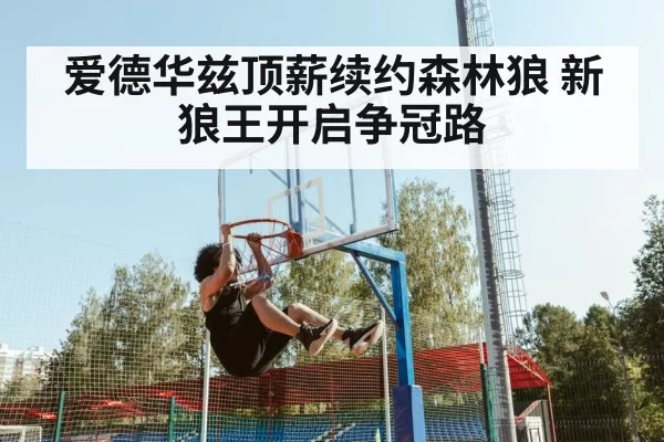 爱德华兹顶薪续约森林狼 新狼王开启争冠路
