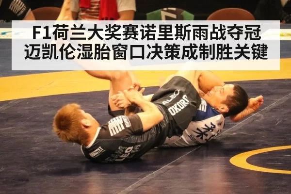 F1荷兰大奖赛诺里斯雨战夺冠 迈凯伦湿胎窗口决策成制胜关键